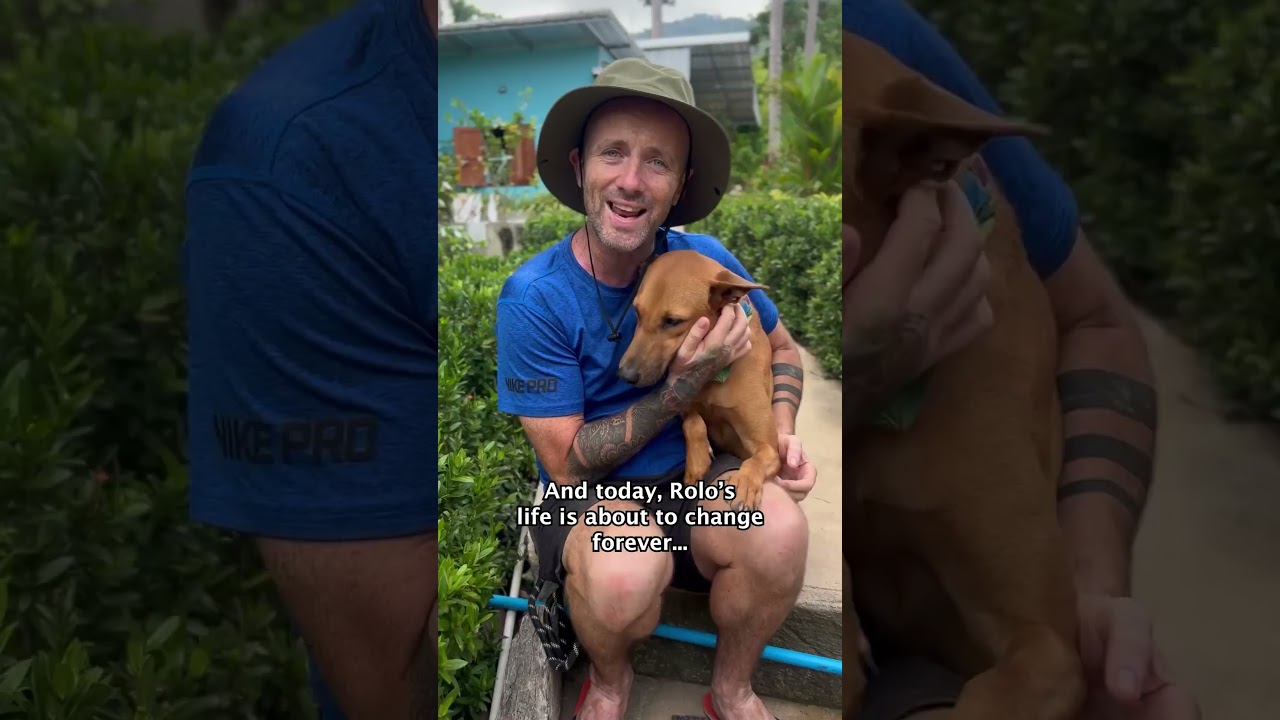 Street Dog Finds Forever Home 🏠