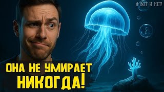 Медуза, которая обманула смерть | Сложно поверить, но это правда