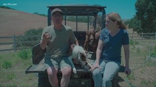 Winters residents react to PG&E power shutoff