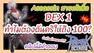 Ragnarok Classic Assassin สายคริเบิ้ล คริ 100 ทำไมถึงจำเป็น?