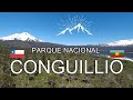 Parque Nacional Conguillio