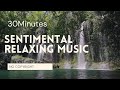 30 MINUTES SENTIMENTAL RELAXING MUSIC | NOCOPYRIGHT