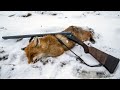 Загонная охота на Лису (Corral Fox Hunt)