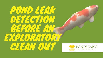 Pond Leak Detection Before An Exploratory Clean Out