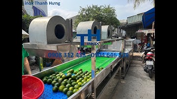 Máy rửa Cam Sành công nghiệp. Máy rửa trái cây công nghiệp đa năng - INOX THANH HƯNG SẢN XUẤT