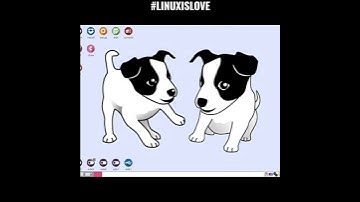 Top 40 Linux Distros in one Short!!! #linux #distros