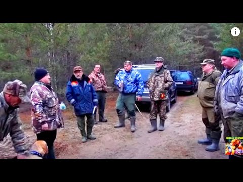 Весенние полевые испытания гончих собак в Нижегородской области .