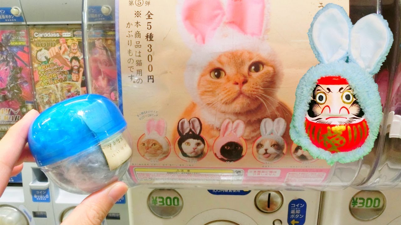 Japanese Unique Capsule Toy (GASHAPON) Bunny Hat for Cats YouTube
