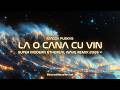 Magda Puskas - La o cană cu vin (Super Modern Ethereal Wave Remix) 2026 🌊 | EtherealWaveRevival