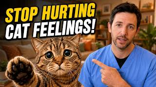 Never Do These 11 Things That Hurt Your Cat Emotionally