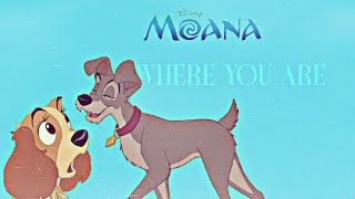 Where You Are - Animash Version (Moana) (2016)