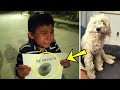 Boy Loses his Pup and Looks for him Crying. Then something Wonderful Happened