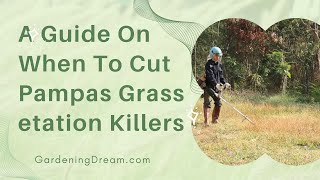 A Guide On When To Cut Pampas Grass