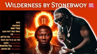 Stonebwoy Wilderness Breakdown  This Song Will Touch Your Soul torcher Ii Ep