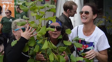 Hug a Tree at EP - Electric Picnic 2019