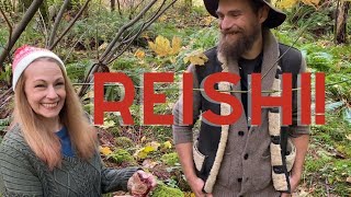 Asking Herbal Jedi About Reishi