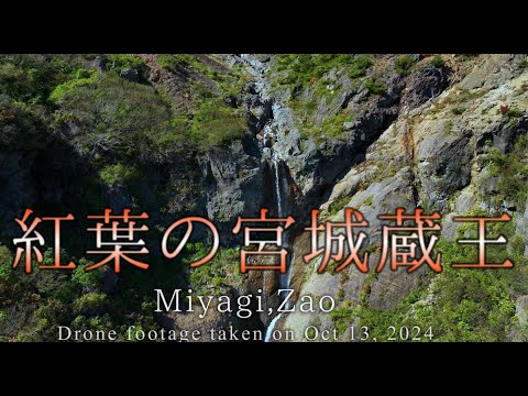 紅葉の「宮城蔵王」で遊覧飛行　４Kドローン空撮