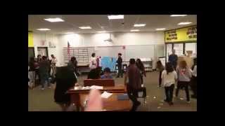 "Carnival Project" Sadies Proposal