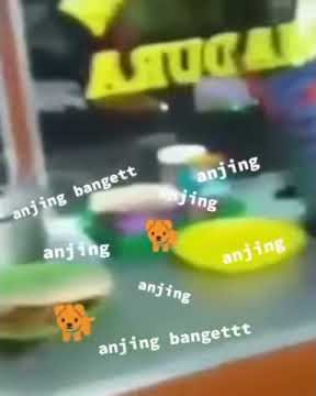 STORY WA DJ ANJING BANGET