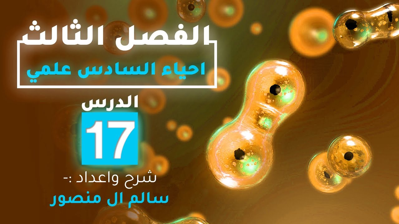 المحاضرة (17) | التكاثر في الضفدع.