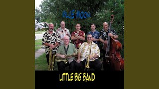 Video voorbeeld van "The Little Big Band - Poinciana"