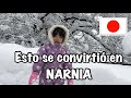 esto se convirtio en Narnia Japonesa !!!!! Que hacemos con tanta nieve?