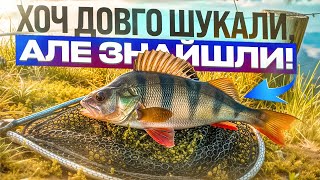 видео: Риболовля у Вихідний. Осінні Окуні: Шукаємо і Знаходимо! картинка: Риболовля у Вихідний. Осінні Окуні: Шукаємо і Знаходимо!