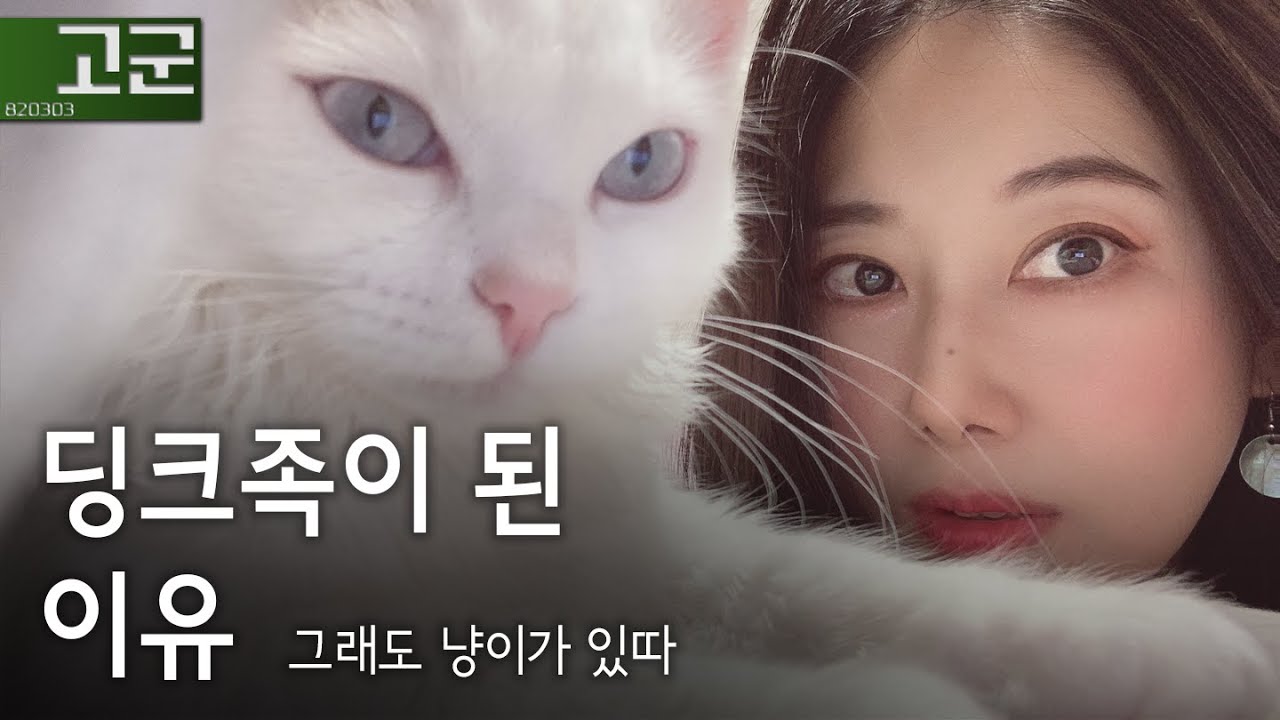 딩크로 결정하게 된 이야기. 지금도 잘 살고 있어요.