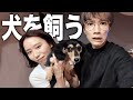 【ご報告】みゆ、犬飼いました
