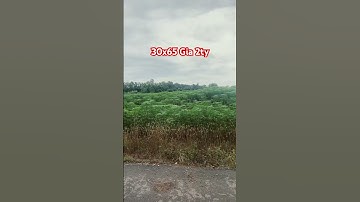 Mặt tiền đường nhựa da bac châu Đức BRVT #bdss #bbds