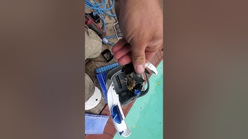 cleaning impeller on maytronics dolphin s200