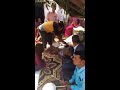 golu devta jaagar