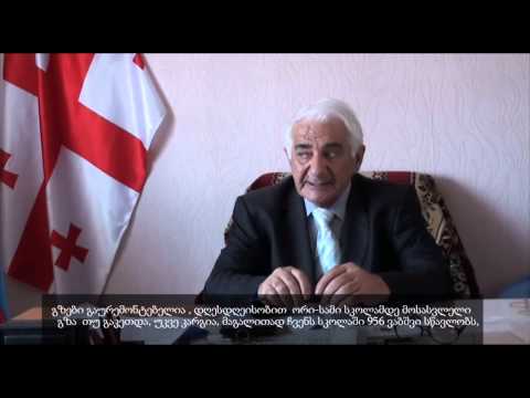 სოფელი სადახლო რიგი პრობლემების წინაშე დგას2