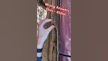 Wrong Answers Only: Help A Brother Out! #automobile #wronganswersonly #car #funny #mechanic