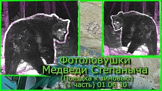 Фотоловушки Медведи Степаныча Поездка к зимовью (1 часть) 01 06 20