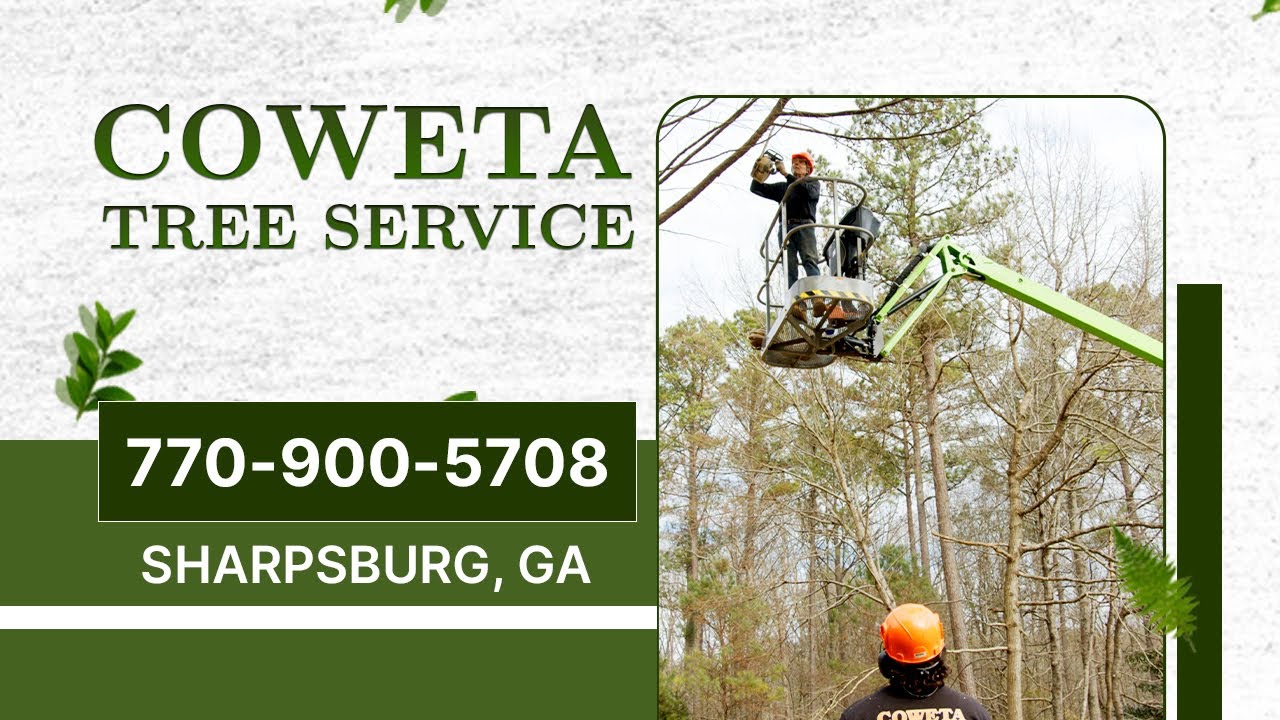 COWETA TREE SERVICE YouTube