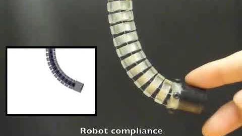 Two-Axis Bend Sensor for Control of a Continuum Robotic Endoscope
