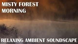 Relaxing Ambient Soundscape - Misty Forest Morning - Nature/Wilderness Ambience/Warm Synth Music