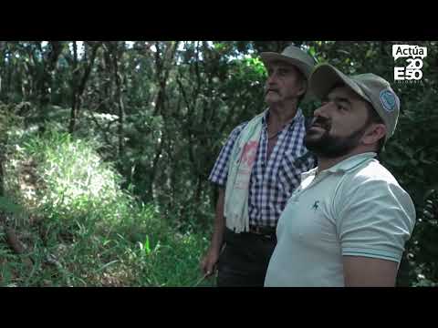 El Guardián del Páramo - Actúa E2050 Colombia El Guardián del Páramo - Actúa E2050 Colombia