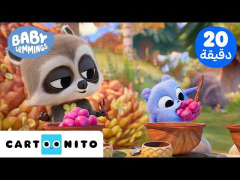 نزهة فوضوية مع صغار الليمينغز! 🍓 | بيبي ليمينغز | Baby Lemmings | كارتونيتو @CartoonitoMENA