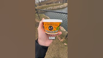 The Monster Trout Love Worms!