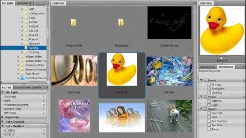 Photoshop CS5 Tutorial The Adobe Bridge Environment Adobe Training Lesson 2.1