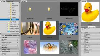 Photoshop CS5 Tutorial The Adobe Bridge Environment Adobe Training Lesson 2.1