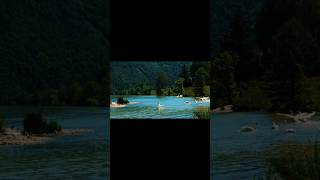 Peaceful Riverside Nature with Ducks 🦆 | Relaxing Water & Nature Sounds#Nature #RiverSide #duck