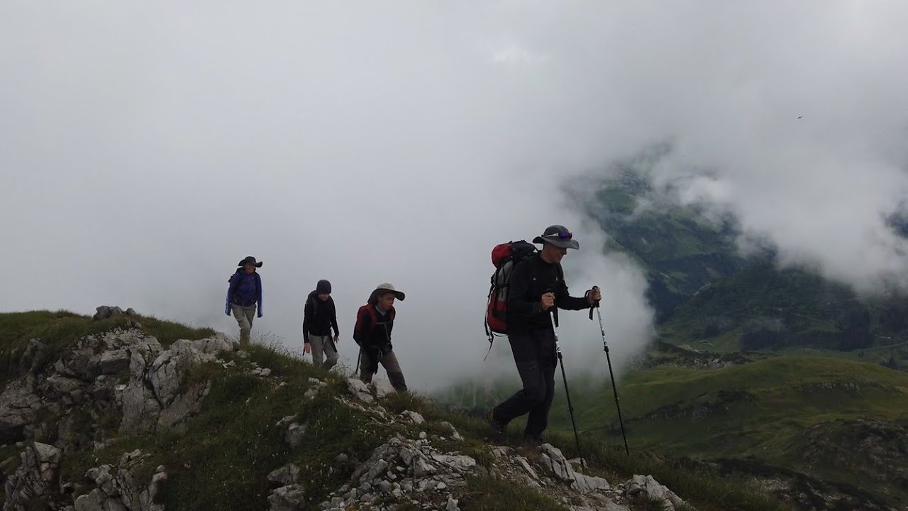 Bregenzerwald Wanderung: Geißhorn von der Jägeralpe (Warth - Hochkrumbach) aus - mit Alpenrosenblüte