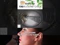 【衝撃】3年ぶりの耳掃除、左耳からサザエのような耳垢が! #eariss luana #イヤーエステ #耳掃除 #eariss #イヤーエステ #耳掃除 #耳かき動画
