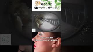 【衝撃】3年ぶりの耳掃除、左耳からサザエのような耳垢が!    #eariss  luana #イヤーエステ #耳掃除 #eariss #イヤーエステ #耳掃除 #耳かき動画