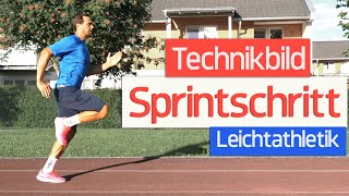 Sprinten Technik Phasen Bewegungsbeschreibung Im Uberblick