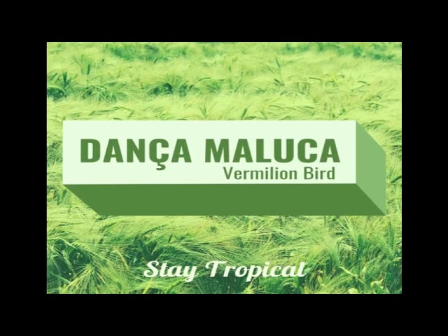 Watch Vermilion Bird - Dança Maluca on YouTube Watch Vermilion Bird - Dança Maluca on YouTube