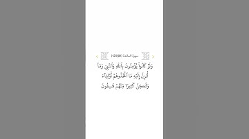 سورة المائدة ٨١